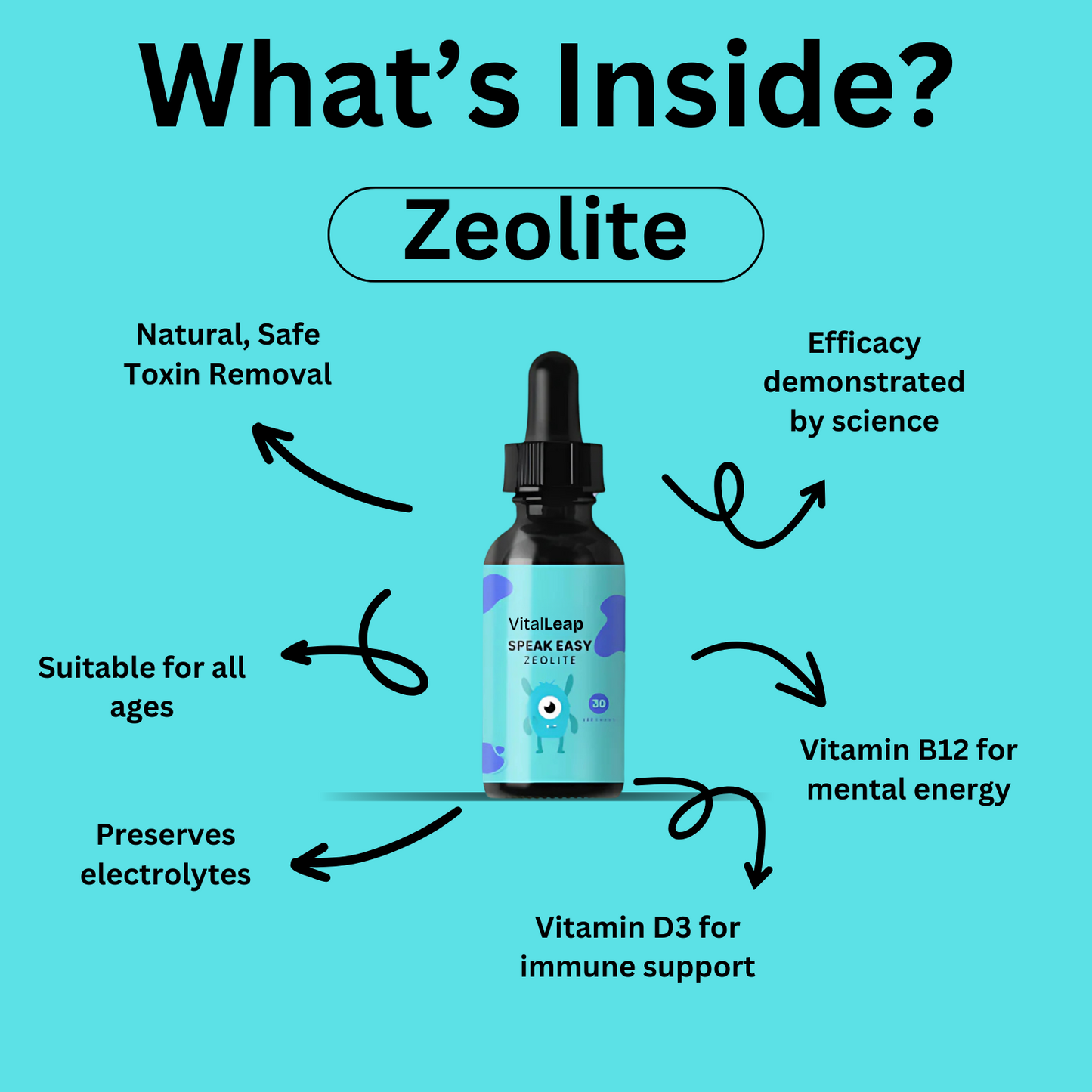 Speak Easy Zeolite